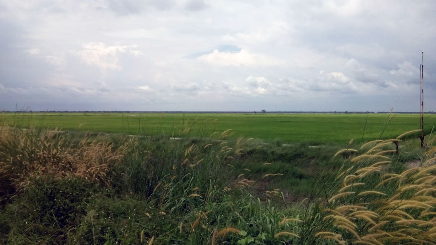 SUMPAHAN TOK KADOK: MAWAS DIHUTAN LAMBOR.