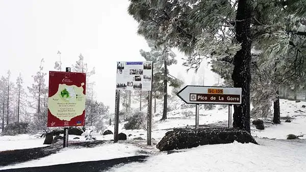 Se puede subir este viernes a la cumbre  de Gran Canaria,menos al Pico de Las Nieves