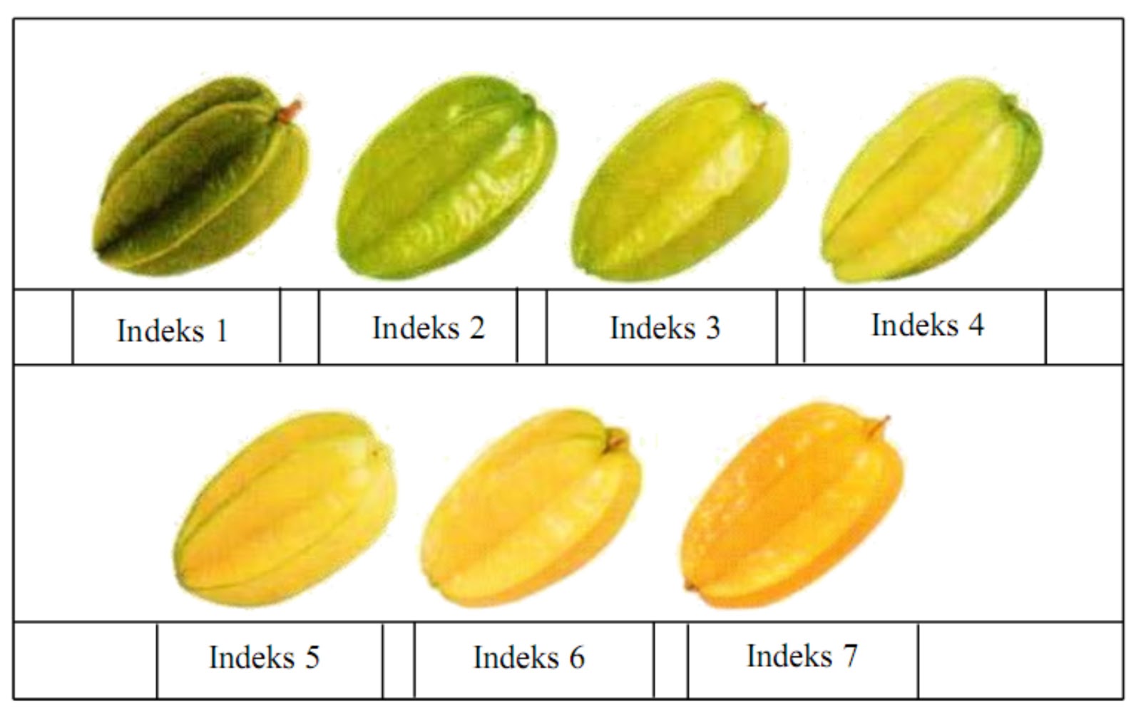 not extraordinary note rantai pendingin pascapanen buah  