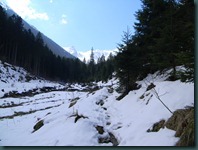 DSCN4223