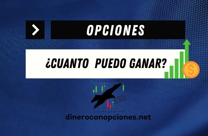 Cuanto dinero puedo ganar con opciones