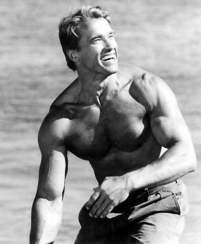 arnold schwarzenegger bodybuilding pictures. arnold schwarzenegger photos