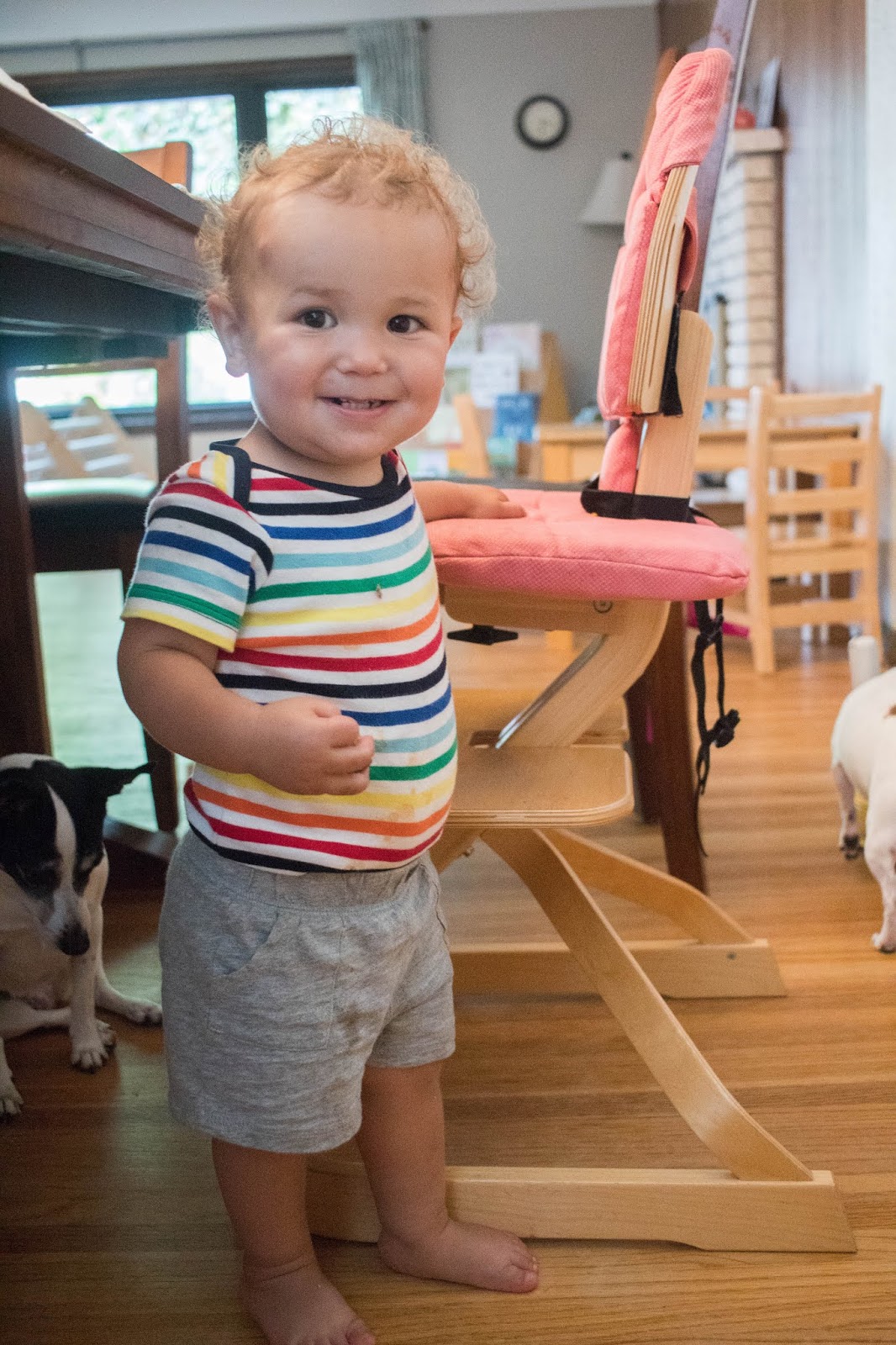 Small toddler stands next to Montessori highchair and gets ready to climb.