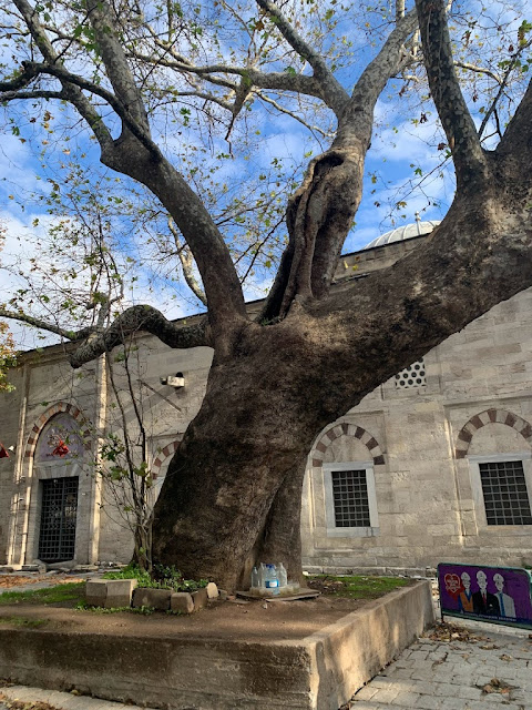 جامع بايزيد الثاني ..ثاني أكبر جوامع إسطنبول