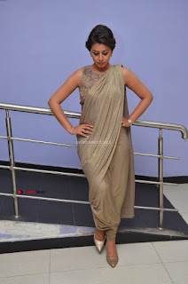 Nikki Galrani in Saree 016.JPG