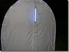 mothing
