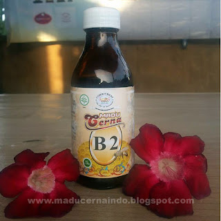 Harga Madu Cerna B2