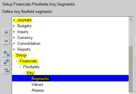 Oracle Chart of Accounts Setup