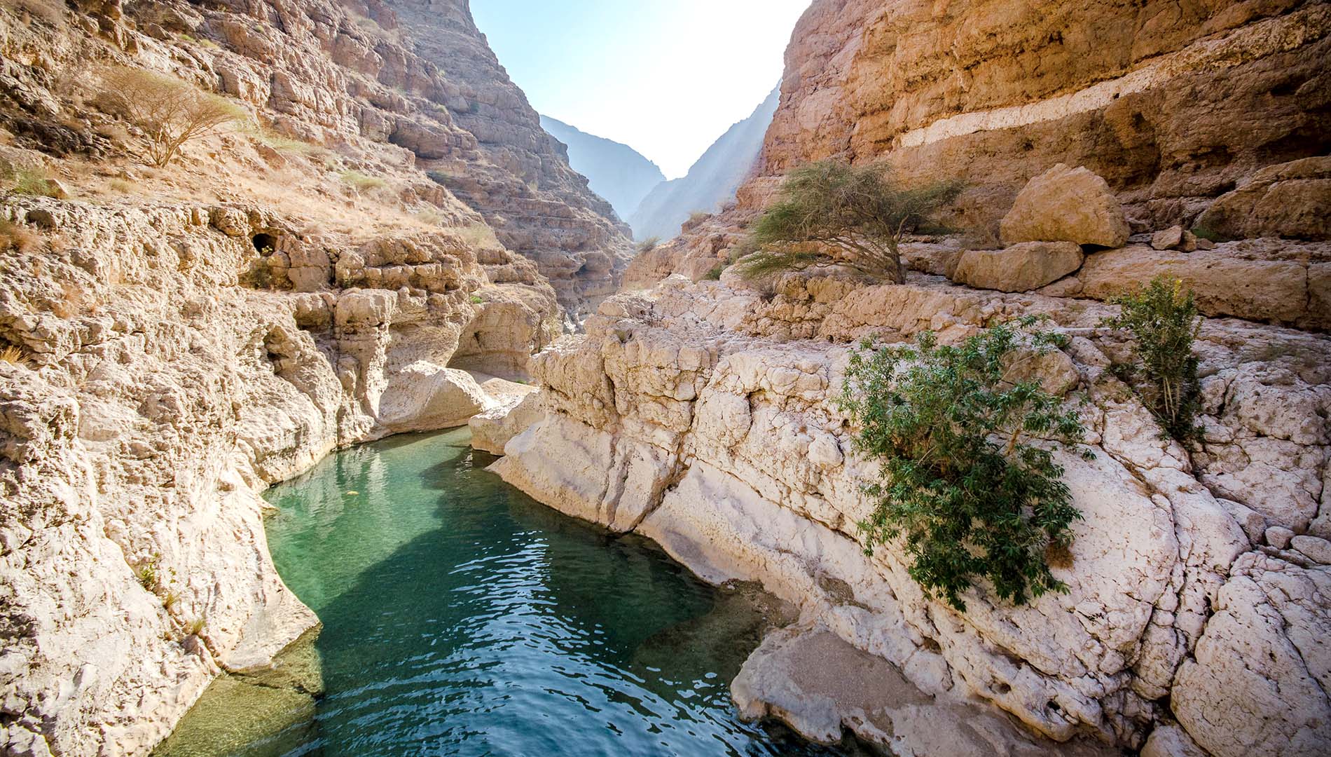 Guide to Hiking in Wadi Shab