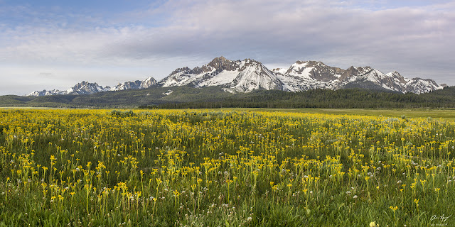 pppp  Sawtooth Range Wilderness mountains from near Stanley, Idaho with wildflowers.