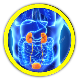 failed transplant kidney radiology failed transplant rejection failed kidney transplant dialysis failed kidney transplant immunosuppression history of failed transplant icd 10 failed kidney transplant symptoms failed kidney transplant removal failed renal transplant failed kidney transplant recipients