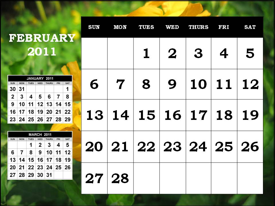 2011 calendar february. February 2011 Calendar (Feb