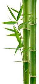 Macfull Blog: Bambu