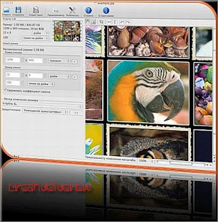 Portable - Benvista PhotoZoom Pro 3.0.2 ML