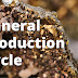 Mineral Production Cycle - Part 1