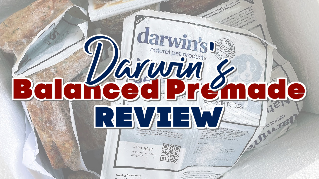 honest, not sponsored, customer review of darwin's natural pet food, natural selections, balanced raw ground dog & cat food