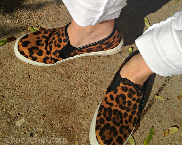 What I wore - leopard slip-ons