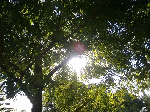 27072010025_2
