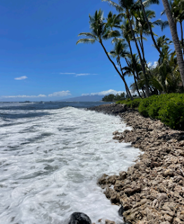 Lahaina condos for sale