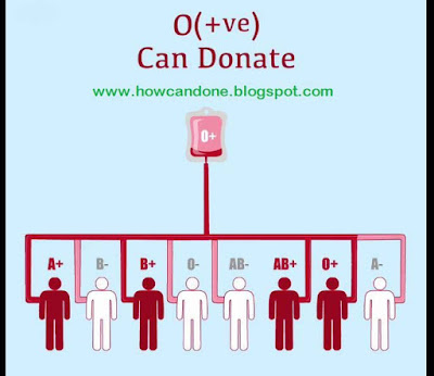File:Which Blood Group Are Best For Donate Each Other.svg