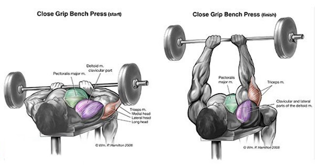 Mass Building Triceps Exercises