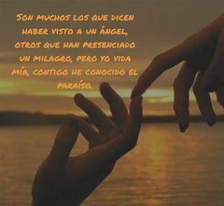 imagenes con frases de amor