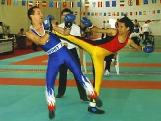 Savate