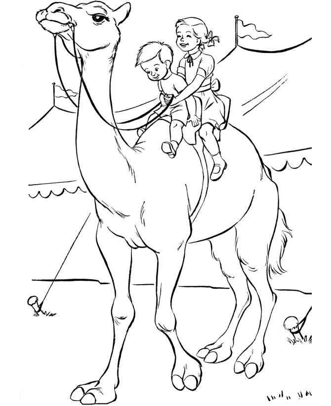 Download Circus Animals Coloring Pages