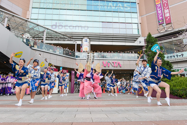 せいせき桜まつり、さくら広場にて阿波踊りを踊るひょっとこ連の写真