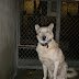 Kerry - A3758429