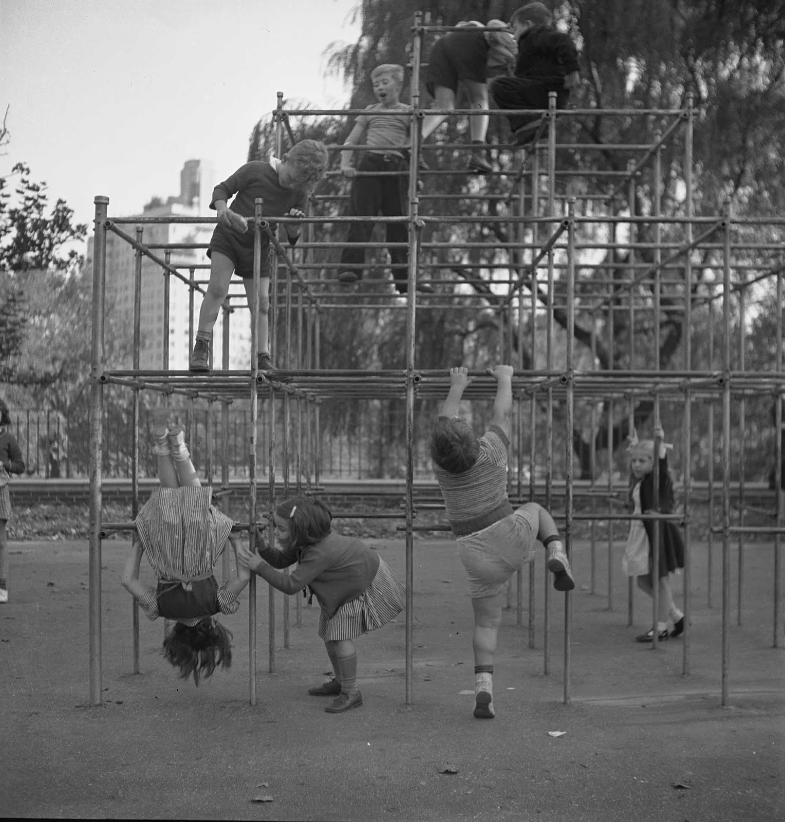Czech-American children, climbing on monkey bars in Central Park playground.