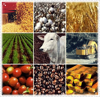 Commodities