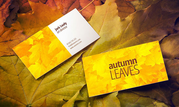 Free Autumn Leaves Business Card Mockup PSD