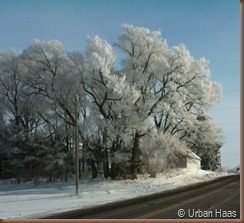 Ice Fog