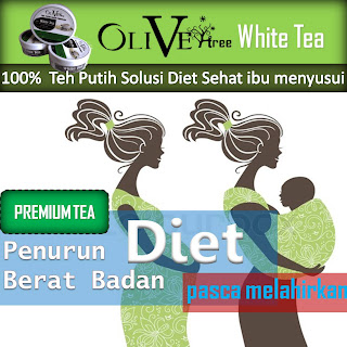 TIPS CANTIK OLIVETREE MENU DIET IBU MENYUSUI