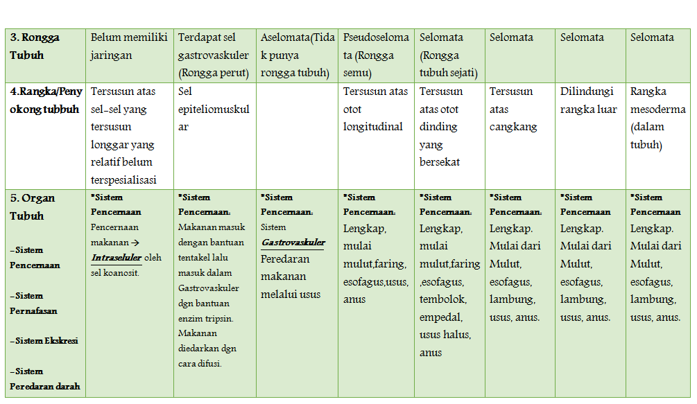 Utak Atik Tugas TABEL  PERBEDAAN HEWAN  INVERTEBRATA 