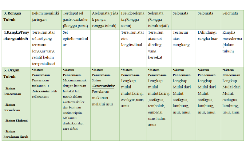 23+ Perbandingan Hewan Vertebrata Dan Invertebrata Tabel, Top!