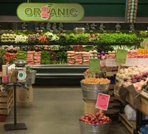 organic food stores