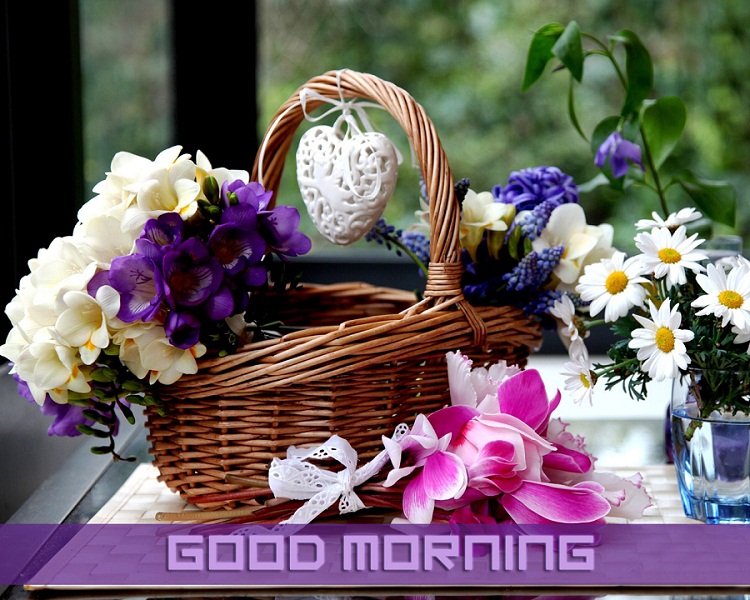 Good Morning Flower Basket Wallpaper for Whatsapp