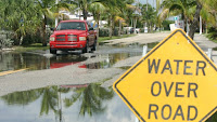 Coastal flooding in Florida. (Credit: Dorothy Zimmerman, Florida Sea Grant/Flickr) Click to Enlarge.