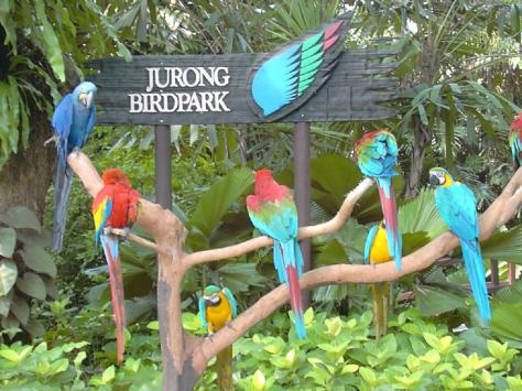 Colour Picture Singapore Bird on Jurong Bird Park Singapore    Unseen Wallpaper