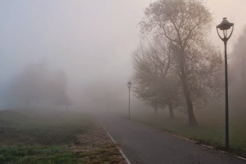 foggy-scenery-photo-12