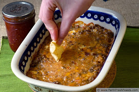 http://www.farmfreshfeasts.com/2015/01/bacon-cheeseburger-tomato-jam-dip.html