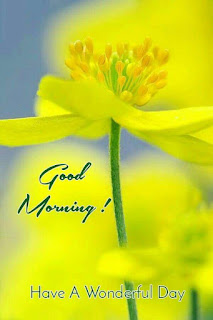 Good Morning  Wishes Images