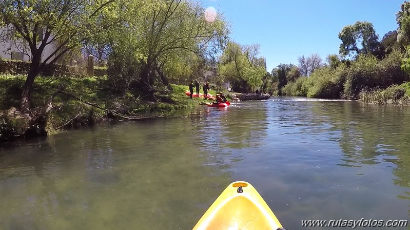 Kayak Rio Guadiaro