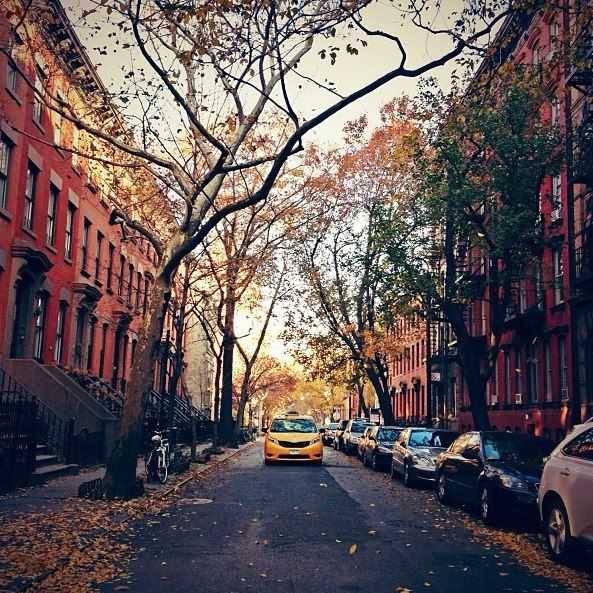 NYC streets in the Fall
