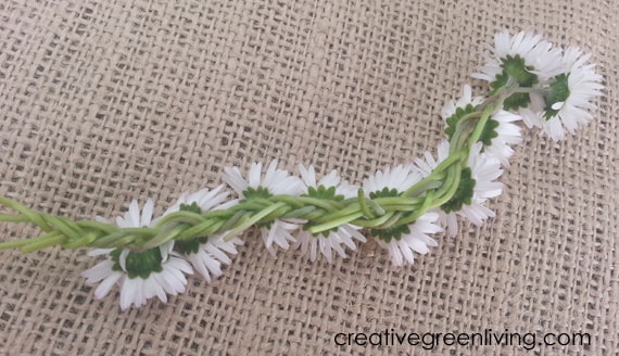 the back of a braided daisy chain