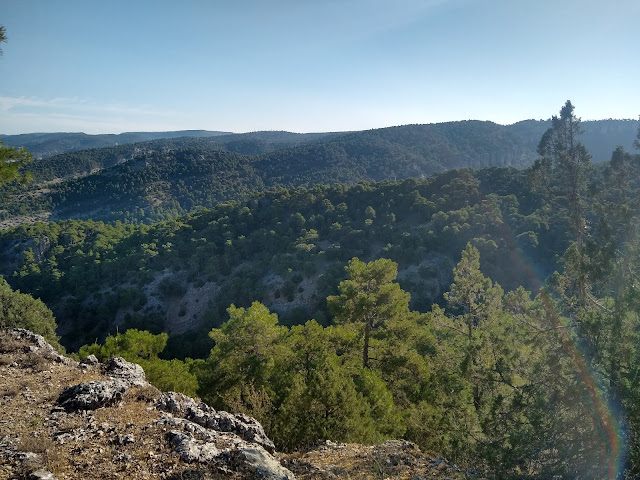 Cerro Añeto