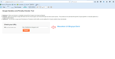Cara Mengetahui Apakah Blog Terkena Sandbox Dari Google