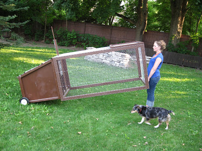 Artisan Designs: The New Urban Mobile Backyard Chicken Coop